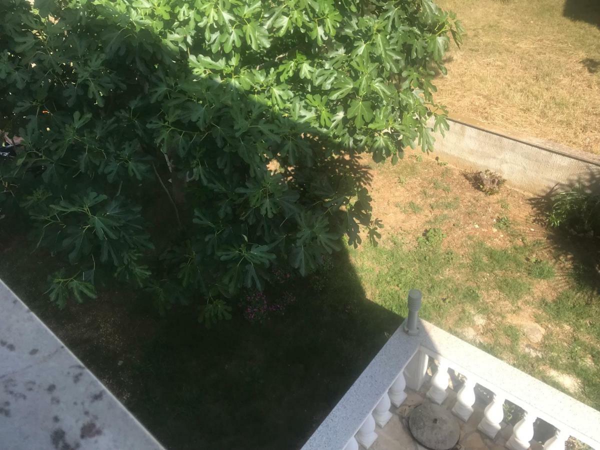 Apartman Petra 2 Vir Zewnętrze zdjęcie